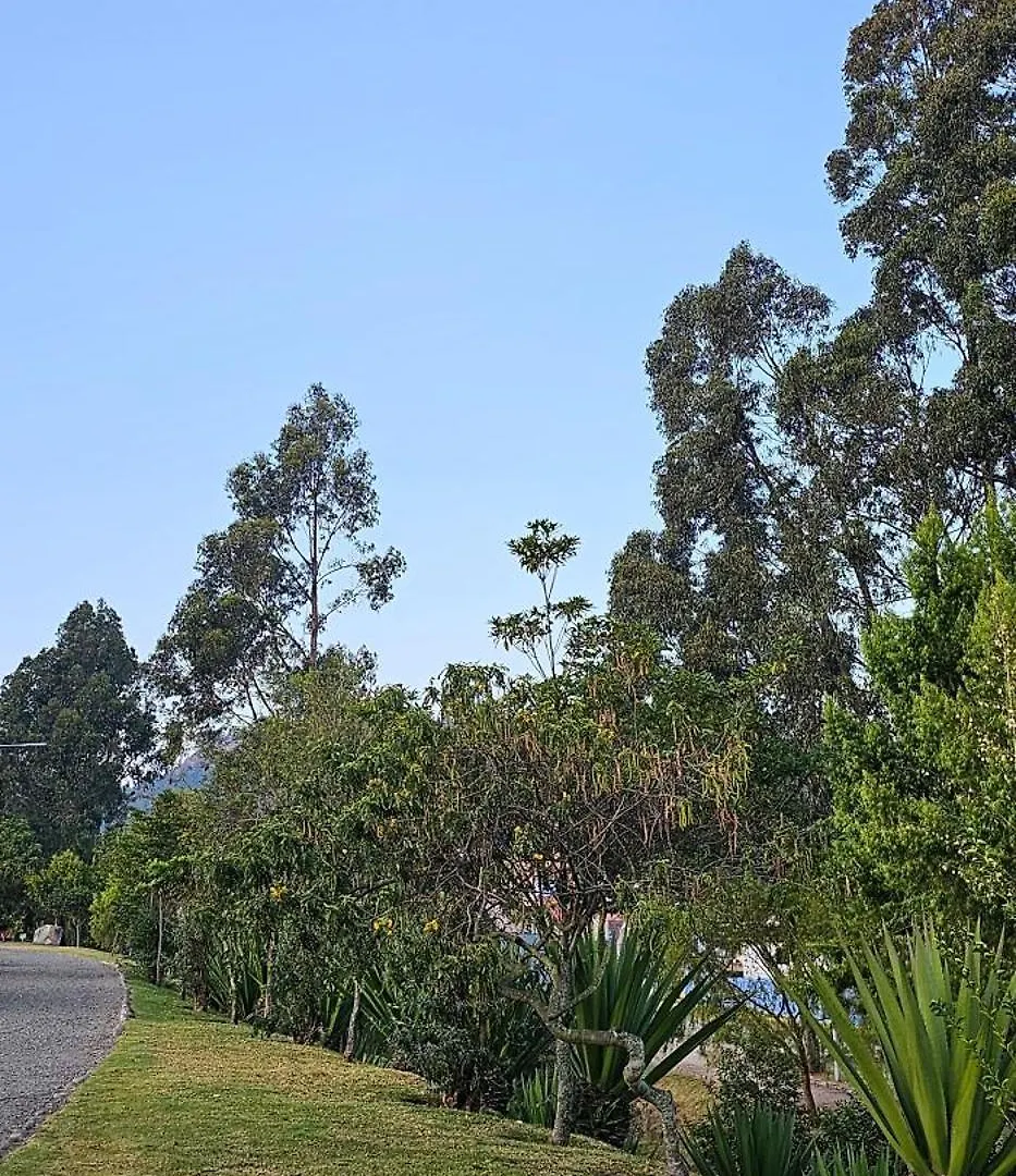 Hostal Yeti Inn Cuenca Guest house